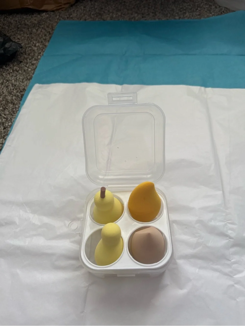 Fruits Shaped Beauty’s blender(4units)& 1 case protector